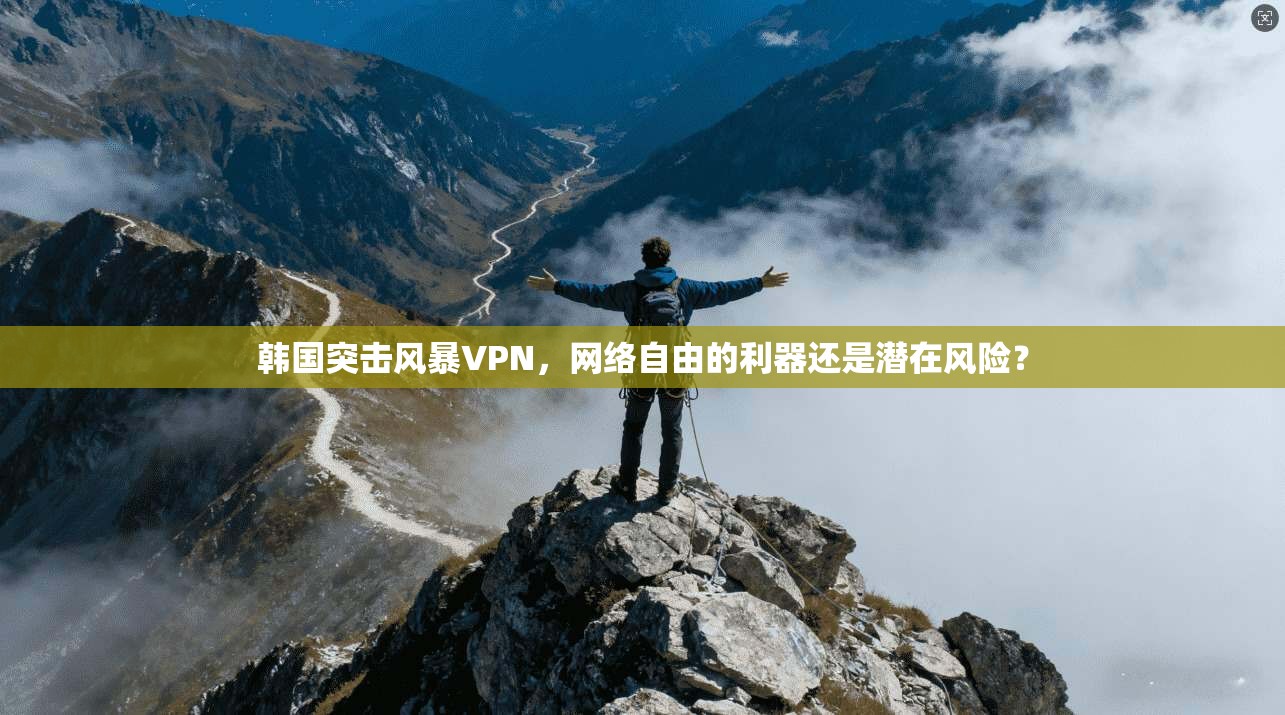 韩国突击风暴VPN，网络自由的利器还是潜在风险？
