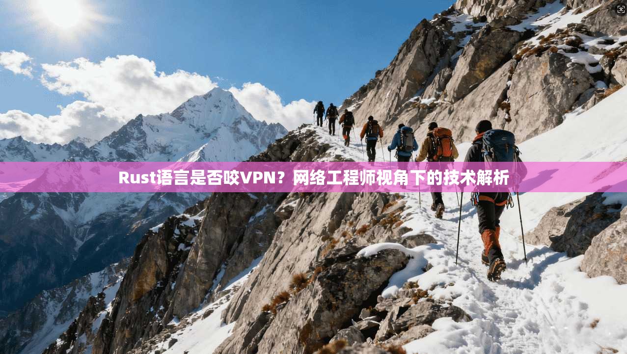 Rust语言是否咬VPN？网络工程师视角下的技术解析