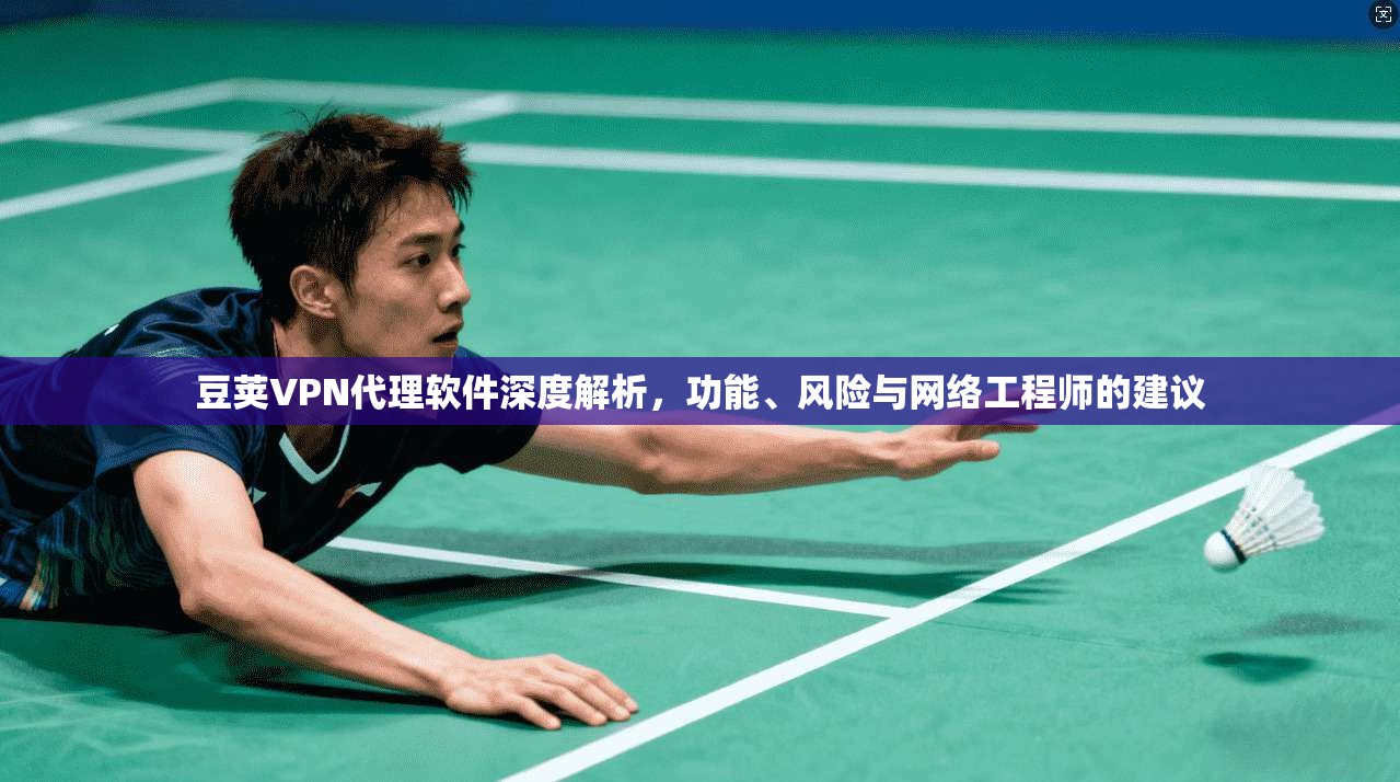 豆荚VPN代理软件深度解析，功能、风险与网络工程师的建议