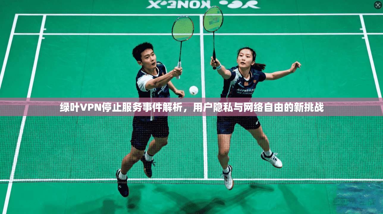 绿叶VPN停止服务事件解析，用户隐私与网络自由的新挑战