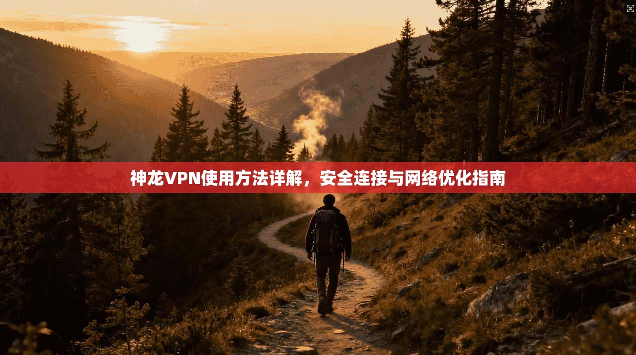 神龙VPN使用方法详解，安全连接与网络优化指南