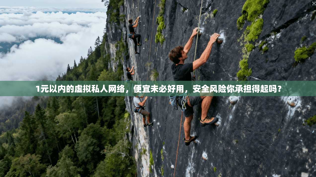 1元以内的虚拟私人网络，便宜未必好用，安全风险你承担得起吗？