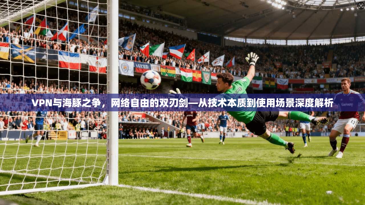VPN与海豚之争，网络自由的双刃剑—从技术本质到使用场景深度解析