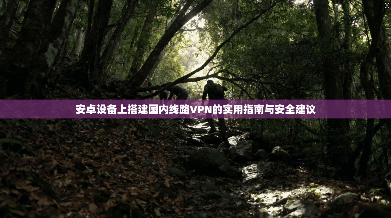 安卓设备上搭建国内线路VPN的实用指南与安全建议