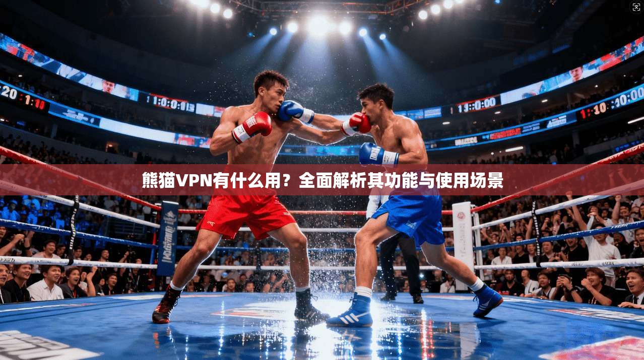 熊猫VPN有什么用？全面解析其功能与使用场景