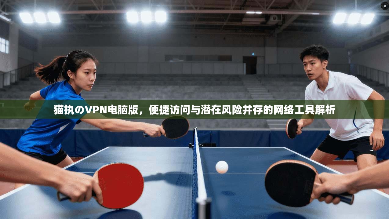 猫执のVPN电脑版，便捷访问与潜在风险并存的网络工具解析
