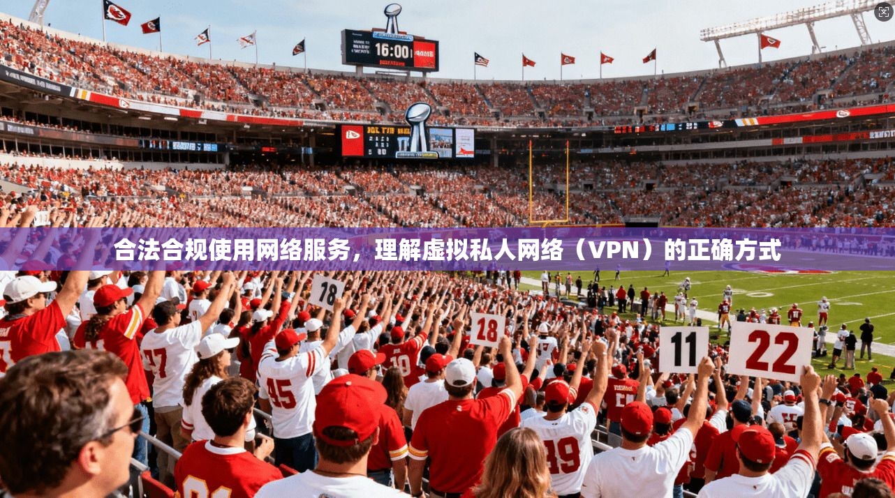 合法合规使用网络服务，理解虚拟私人网络（VPN）的正确方式