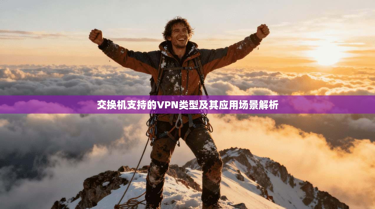 交换机支持的VPN类型及其应用场景解析