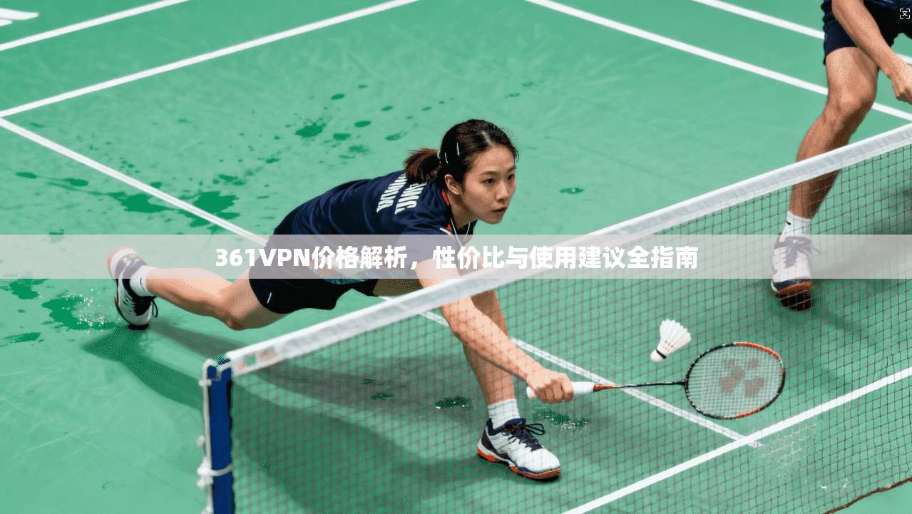 361VPN价格解析，性价比与使用建议全指南