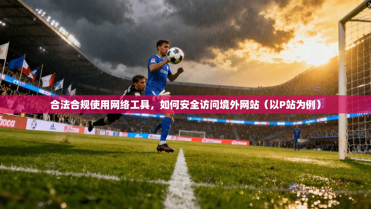 合法合规使用网络工具，如何安全访问境外网站（以P站为例）