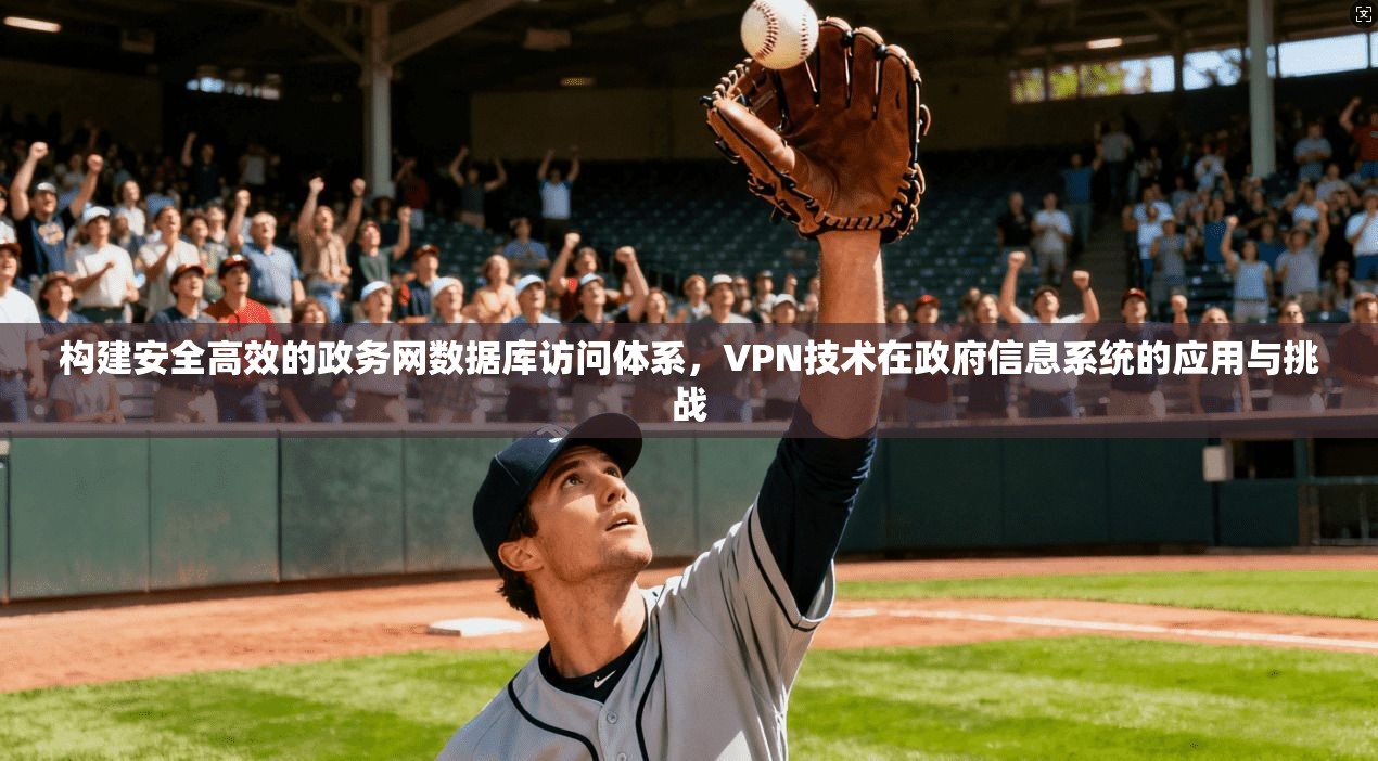 构建安全高效的政务网数据库访问体系，VPN技术在政府信息系统的应用与挑战