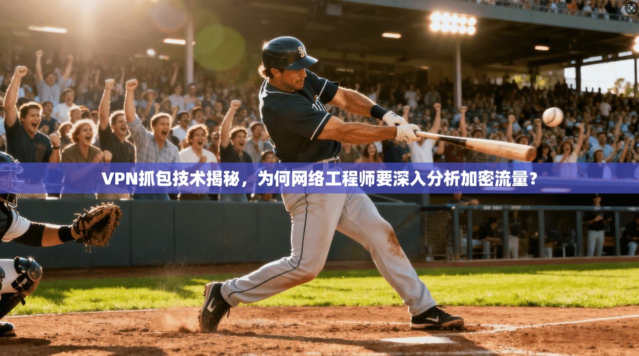 VPN抓包技术揭秘，为何网络工程师要深入分析加密流量？