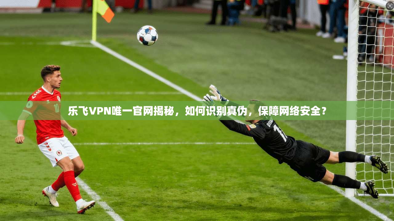 乐飞VPN唯一官网揭秘,如何识别真伪,保障网络安全?