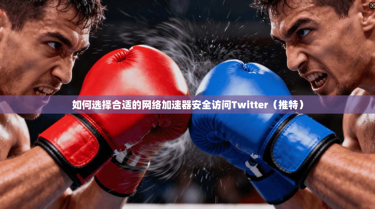 如何选择合适的网络加速器安全访问Twitter（推特）