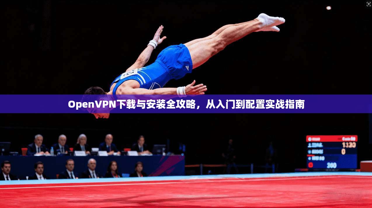 OpenVPN下载与安装全攻略，从入门到配置实战指南