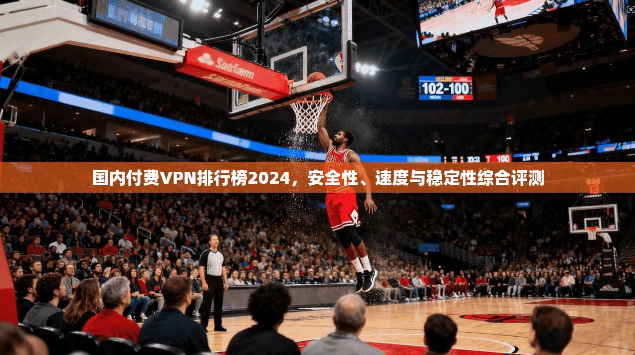 国内付费VPN排行榜2024，安全性、速度与稳定性综合评测