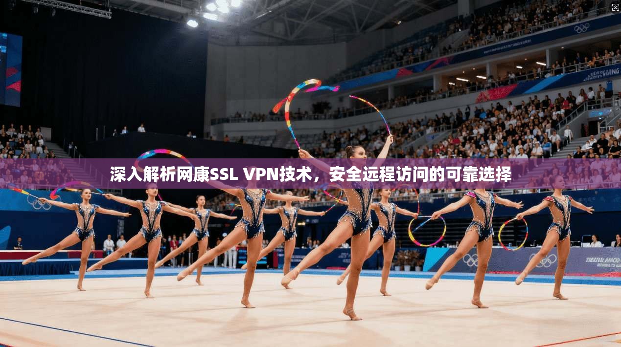 深入解析网康SSL VPN技术，安全远程访问的可靠选择