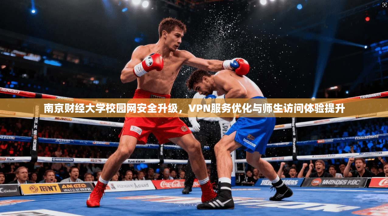 南京财经大学校园网安全升级，VPN服务优化与师生访问体验提升