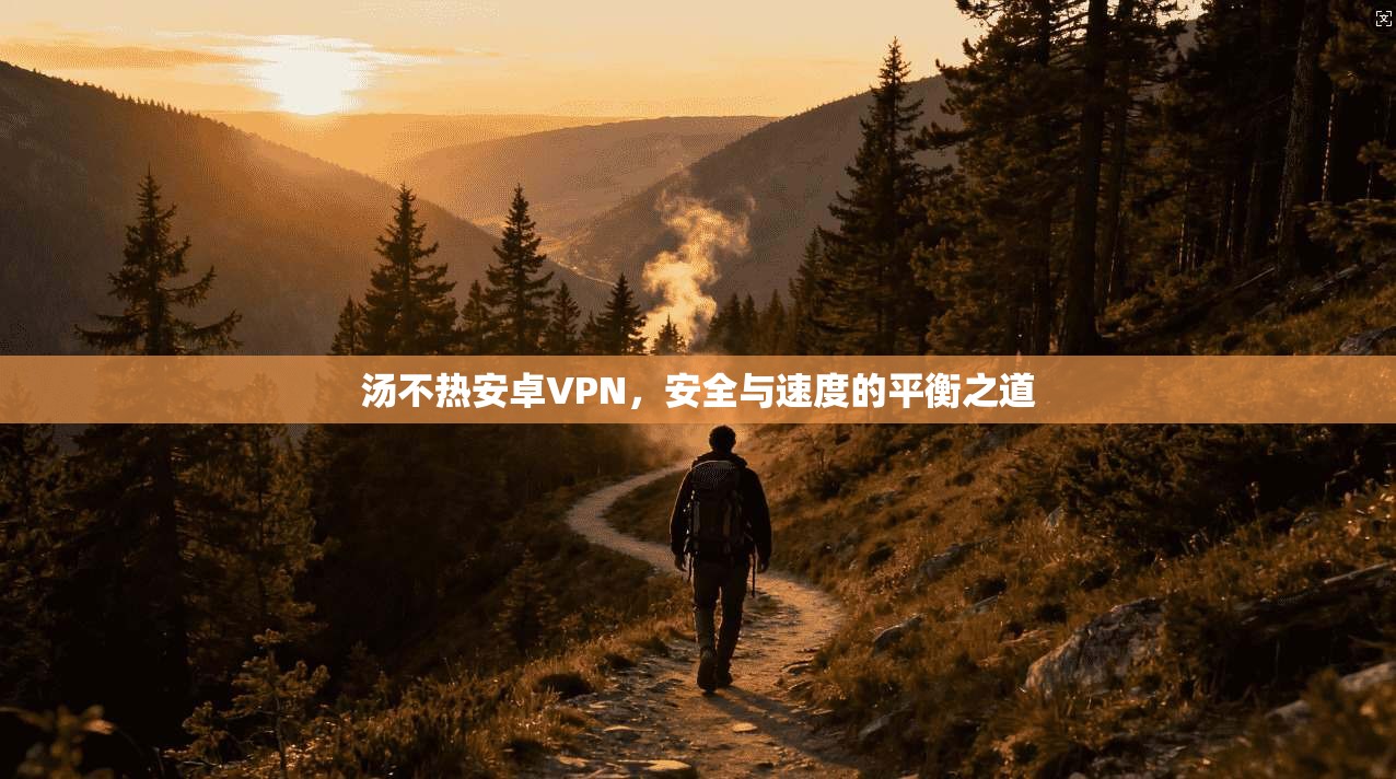 汤不热安卓VPN，安全与速度的平衡之道