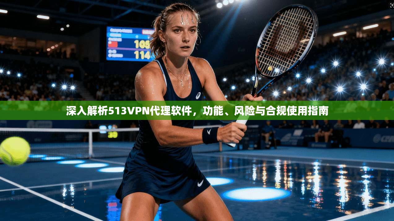 深入解析513VPN代理软件，功能、风险与合规使用指南