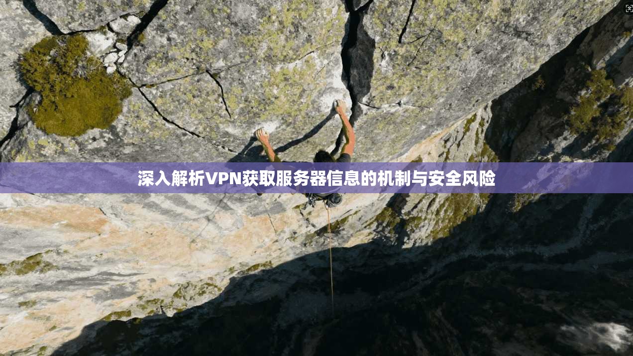 深入解析VPN获取服务器信息的机制与安全风险