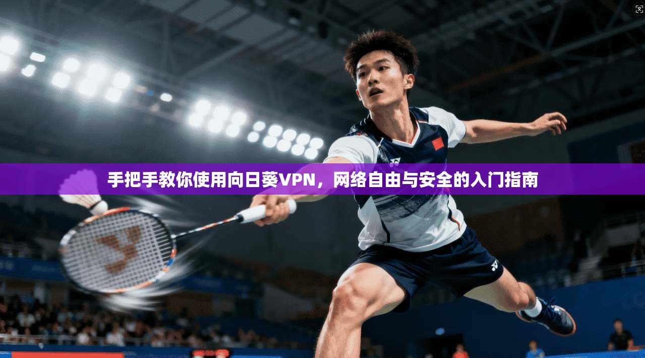 手把手教你使用向日葵VPN，网络自由与安全的入门指南