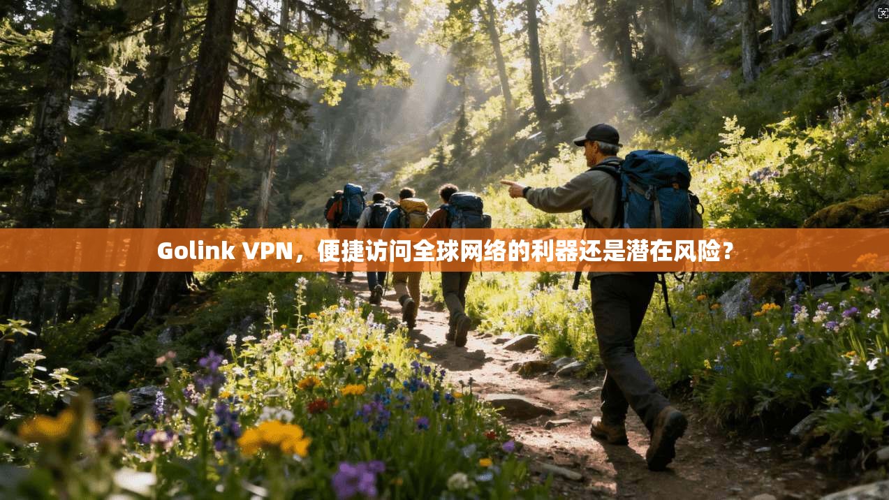 Golink VPN，便捷访问全球网络的利器还是潜在风险？