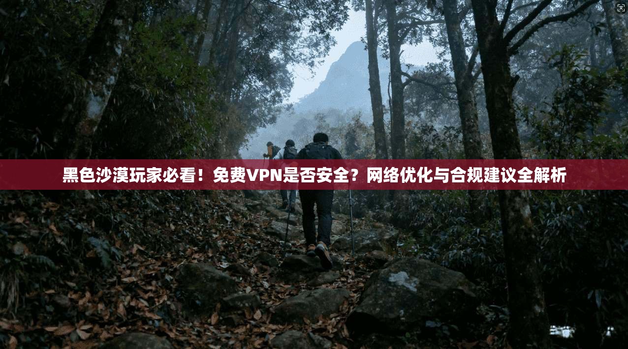 黑色沙漠玩家必看！免费VPN是否安全？网络优化与合规建议全解析