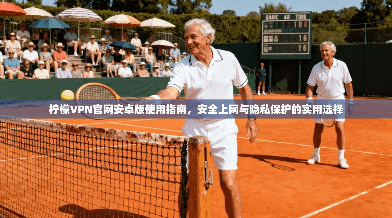 柠檬VPN官网安卓版使用指南，安全上网与隐私保护的实用选择