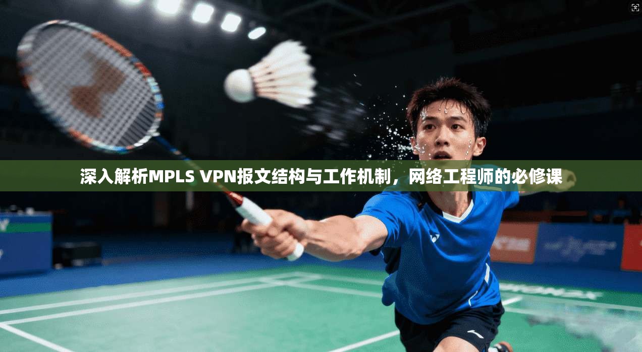 深入解析MPLS VPN报文结构与工作机制，网络工程师的必修课