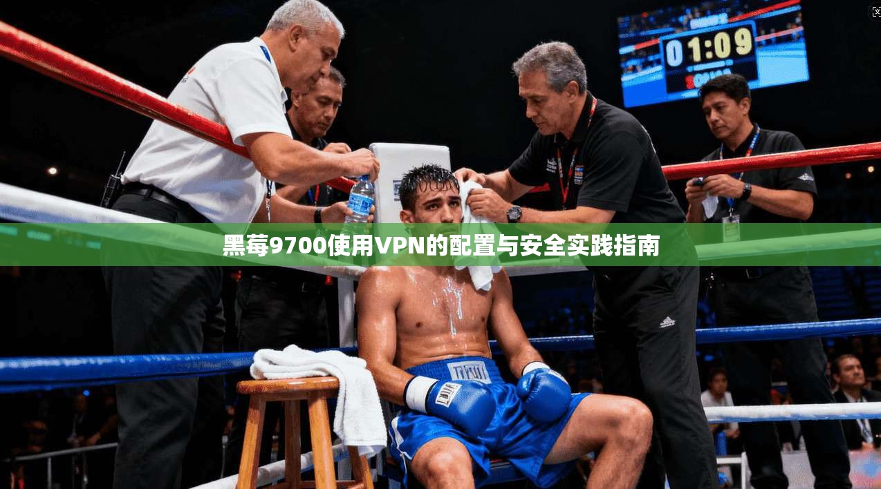 黑莓9700使用VPN的配置与安全实践指南