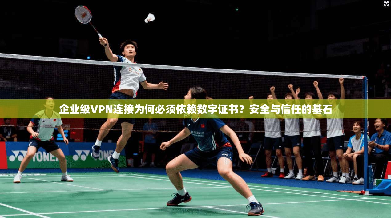 企业级VPN连接为何必须依赖数字证书？安全与信任的基石