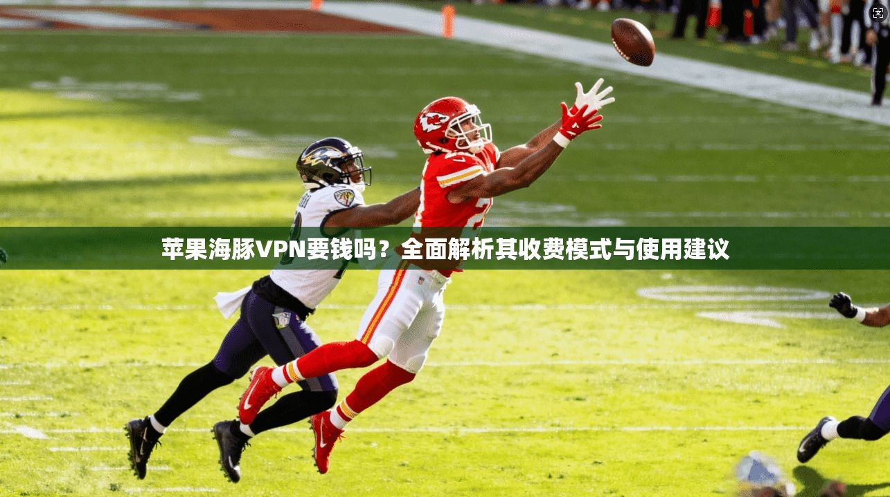 苹果海豚VPN要钱吗？全面解析其收费模式与使用建议