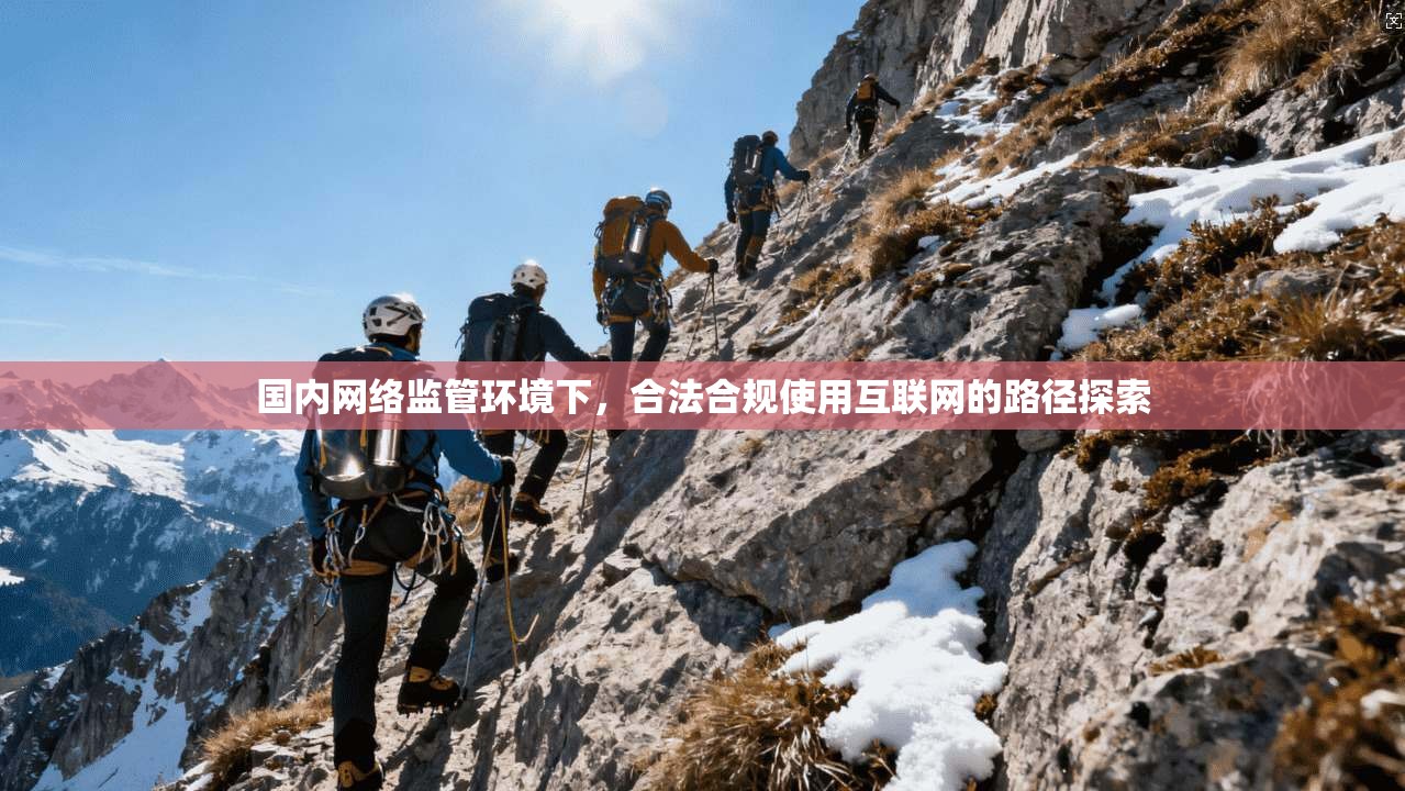 国内网络监管环境下，合法合规使用互联网的路径探索