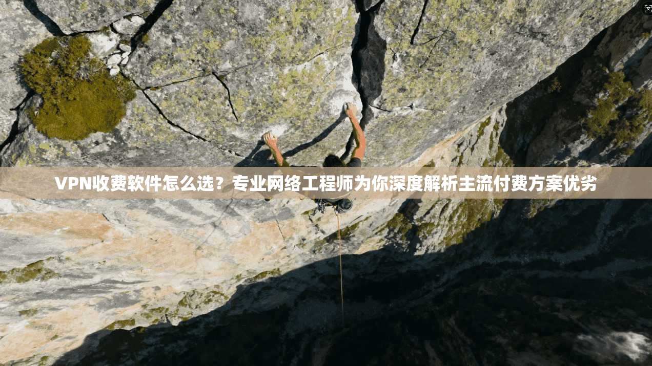 VPN收费软件怎么选?专业网络工程师为你深度解析主流付费方案优劣