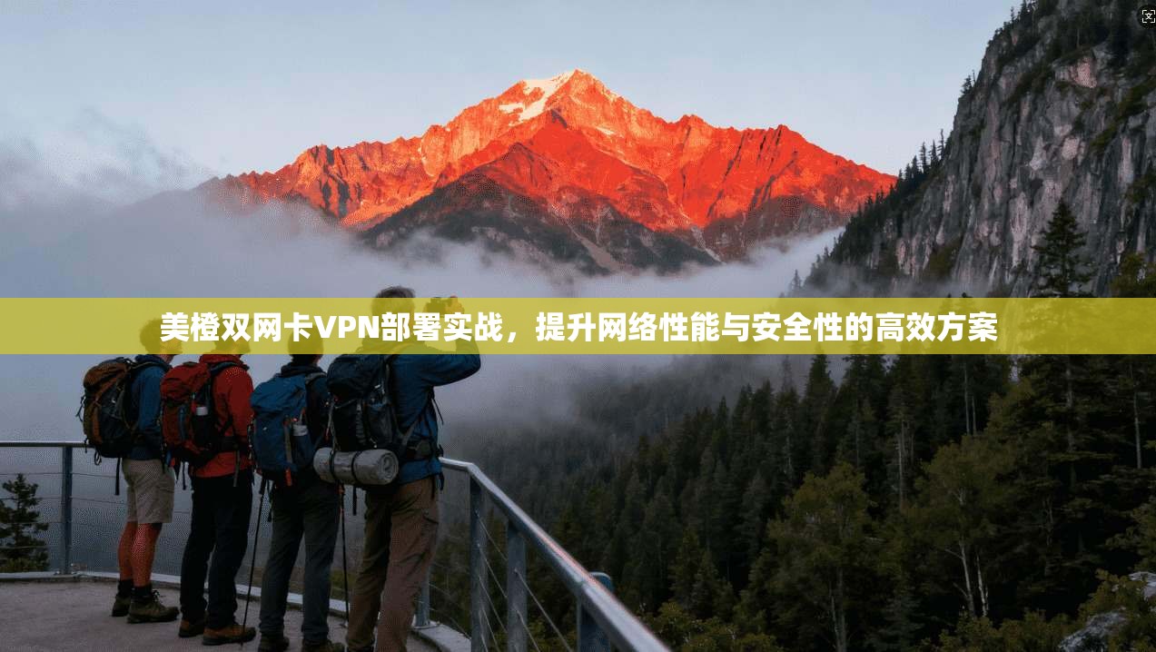 美橙双网卡VPN部署实战,提升网络性能与安全性的高效方案
