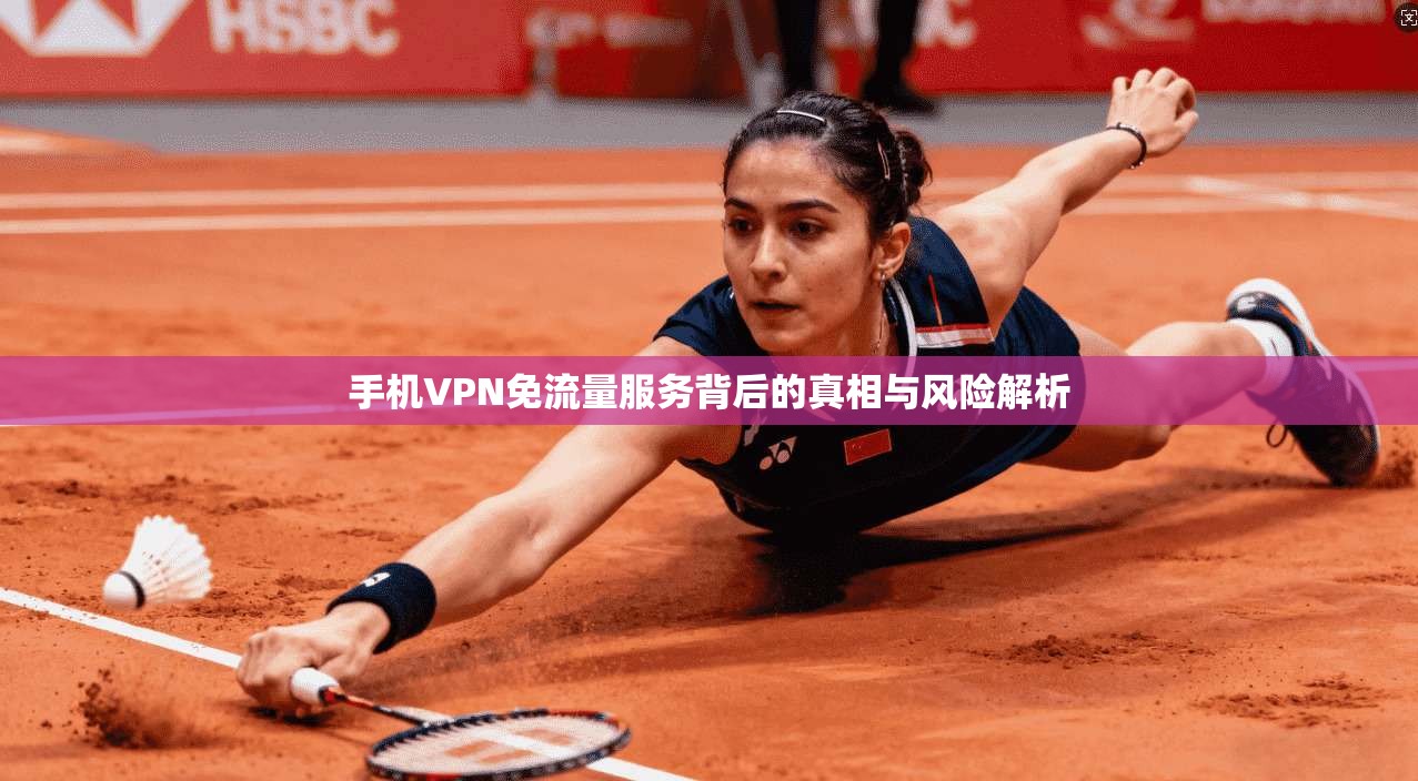手机VPN免流量服务背后的真相与风险解析