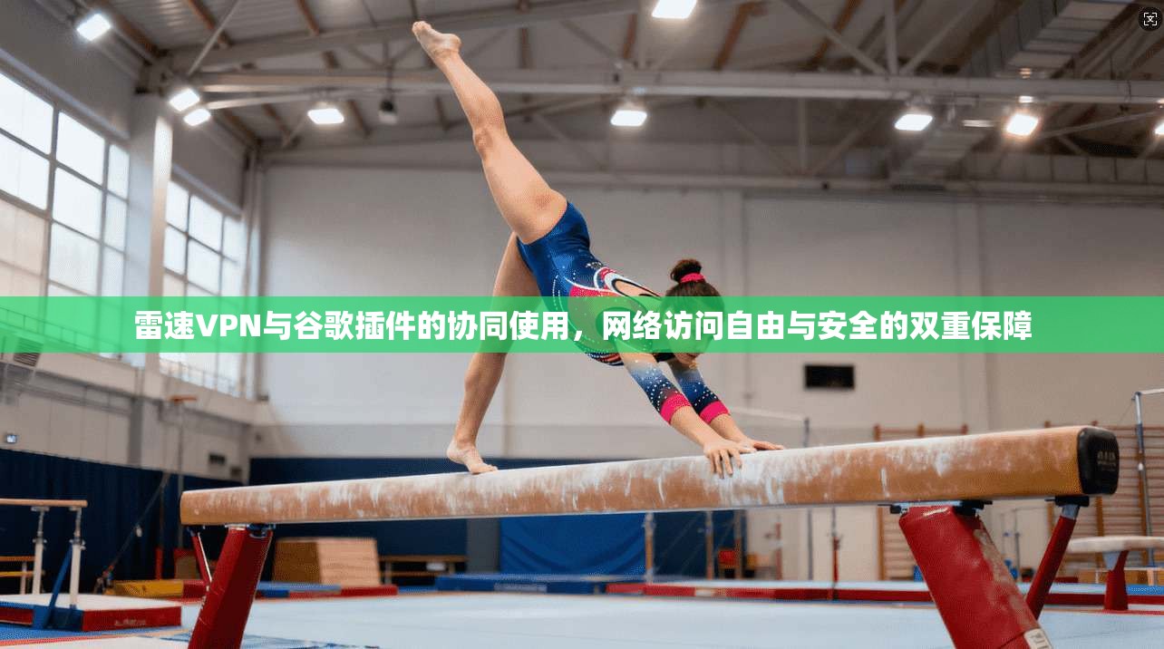 雷速VPN与谷歌插件的协同使用,网络访问自由与安全的双重保障