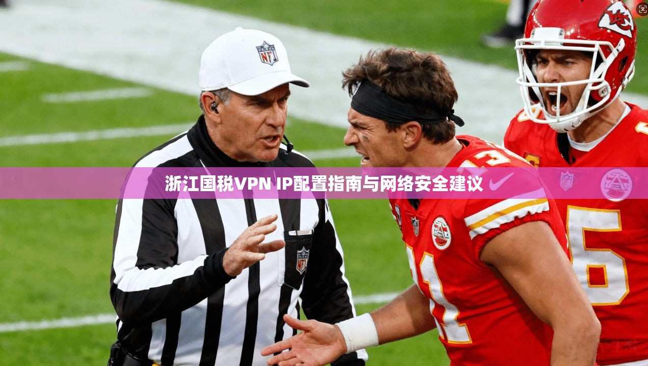 浙江国税VPN IP配置指南与网络安全建议