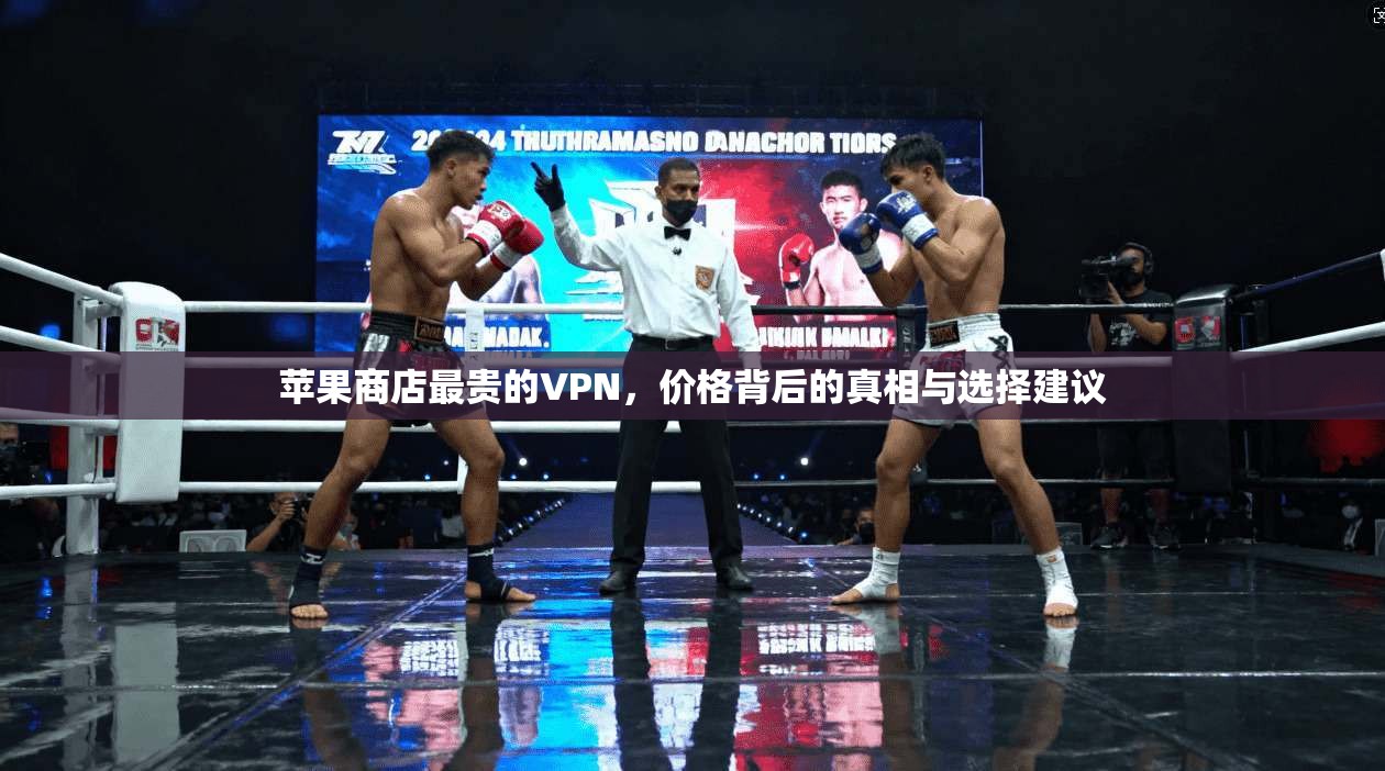 苹果商店最贵的VPN，价格背后的真相与选择建议