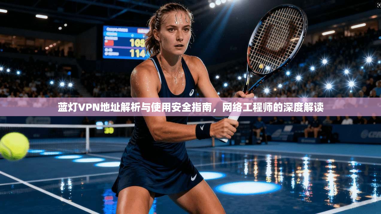 蓝灯VPN地址解析与使用安全指南,网络工程师的深度解读