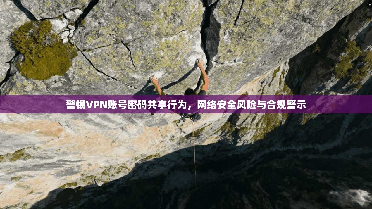 警惕VPN账号密码共享行为，网络安全风险与合规警示
