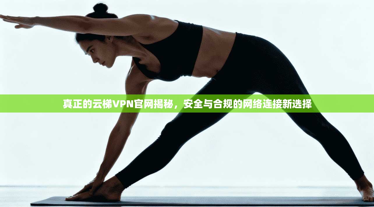 真正的云梯VPN官网揭秘，安全与合规的网络连接新选择