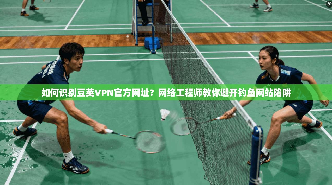如何识别豆荚VPN官方网址?网络工程师教你避开钓鱼网站陷阱