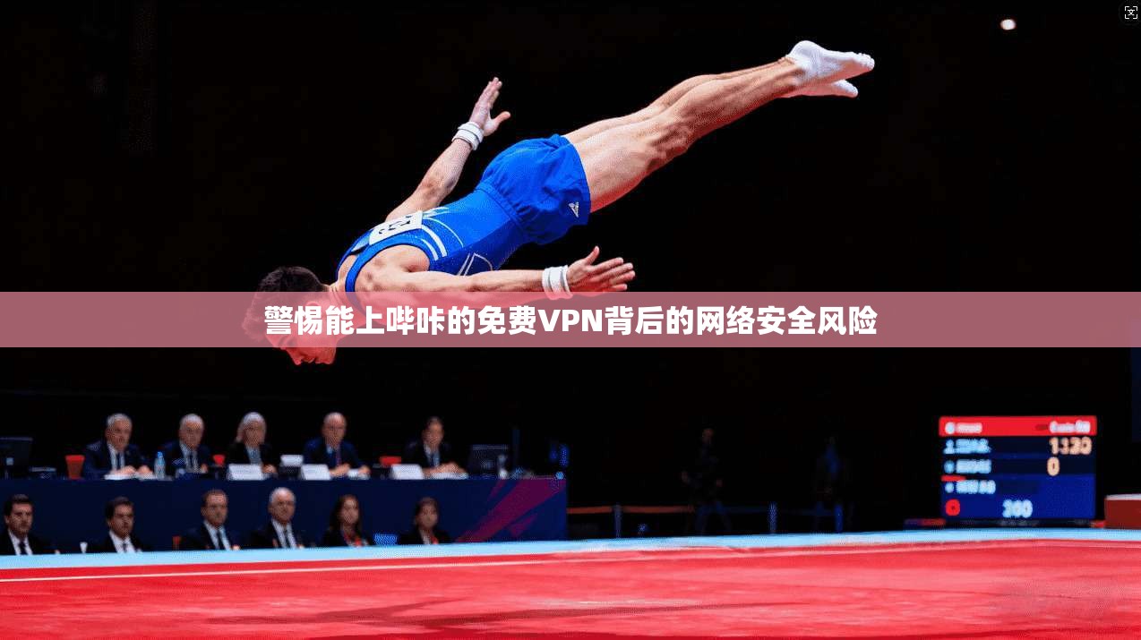 警惕能上哔咔的免费VPN背后的网络安全风险