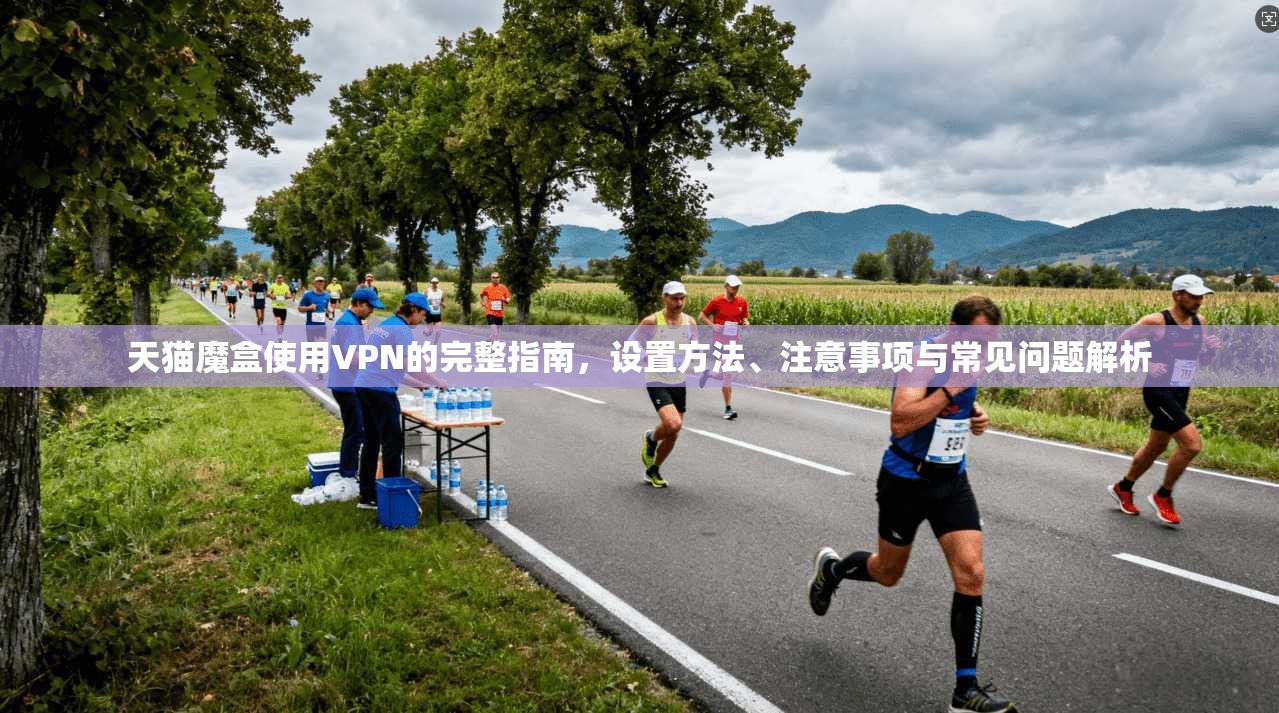 天猫魔盒使用VPN的完整指南，设置方法、注意事项与常见问题解析