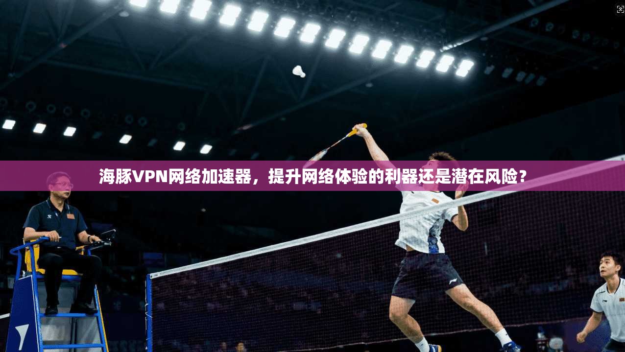海豚VPN网络加速器，提升网络体验的利器还是潜在风险？