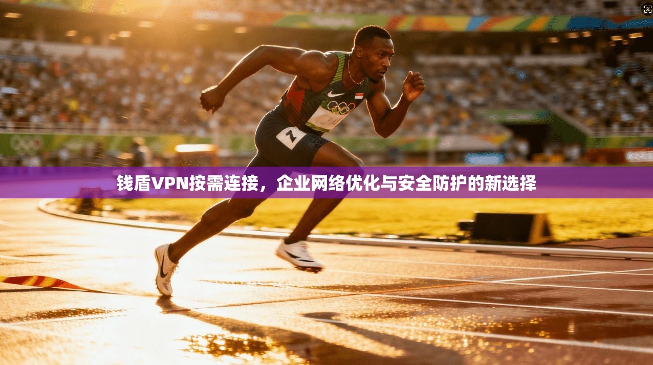 钱盾VPN按需连接，企业网络优化与安全防护的新选择