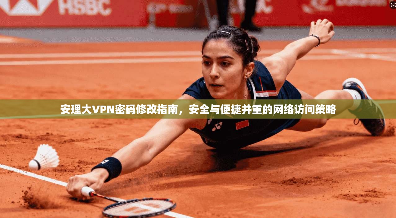 安理大VPN密码修改指南，安全与便捷并重的网络访问策略
