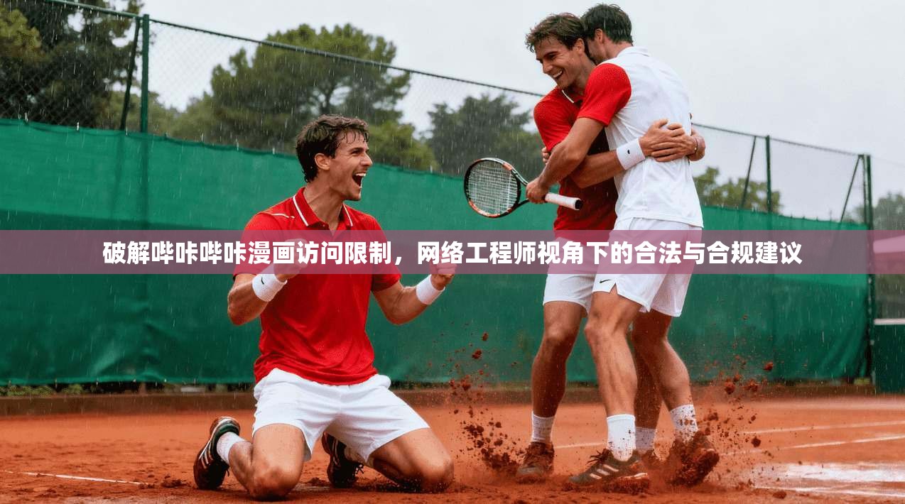 破解哔咔哔咔漫画访问限制，网络工程师视角下的合法与合规建议